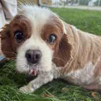 Thumbnail photo of Paris #4