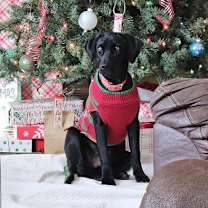 Thumbnail photo of Wiley #2