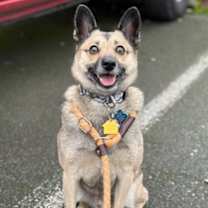 Thumbnail photo of Four #1