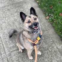 Thumbnail photo of Four #2