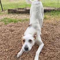 Thumbnail photo of Ellie #2