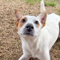 Thumbnail photo of Ellie #3