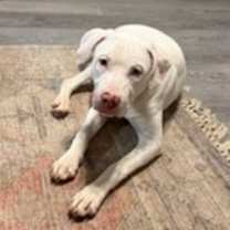 Thumbnail photo of Snow #2