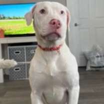 Thumbnail photo of Snow #3