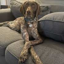 Thumbnail photo of Liberty Belle #1