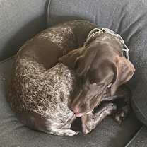 Thumbnail photo of Liberty Belle #2