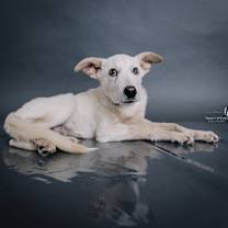 Thumbnail photo of Everett #4