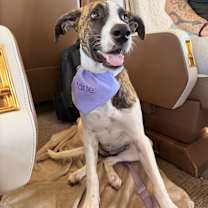 Thumbnail photo of Khloe #1