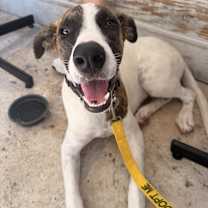 Thumbnail photo of Khloe #3