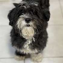 Thumbnail photo of Glenda #2