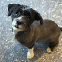 Thumbnail photo of Glenda #3