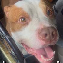 Thumbnail photo of Jimmy #3