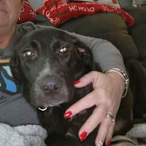 Thumbnail photo of Ollie #2