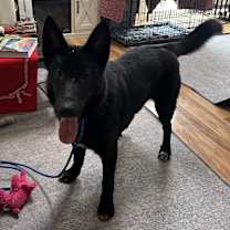 Thumbnail photo of Ripley #4