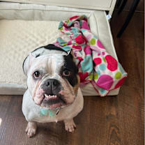 Thumbnail photo of Sage #4