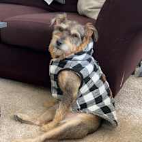 Thumbnail photo of Mel #4