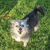 Thumbnail photo of Selena #1