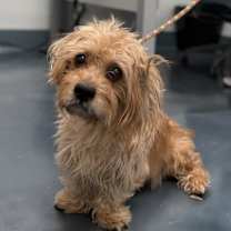 Thumbnail photo of Jingles #3