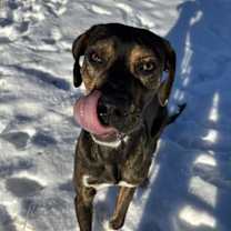 Thumbnail photo of RICK #1