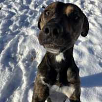 Thumbnail photo of RICK #2