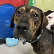 Thumbnail photo of RICK #3