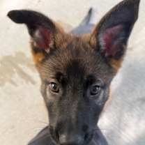 Thumbnail photo of Emma #1