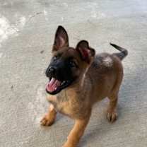 Thumbnail photo of Melanie #1