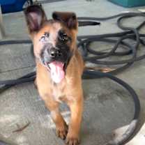 Thumbnail photo of Melanie #2