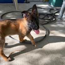 Thumbnail photo of Emma #2