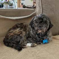 Thumbnail photo of Natasha #3