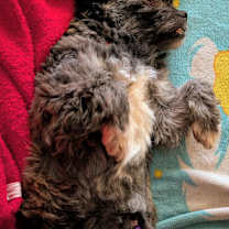 Thumbnail photo of Natasha #4