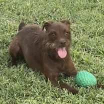 Thumbnail photo of Cara #1