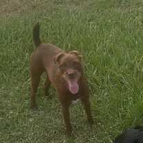 Thumbnail photo of Cara #2