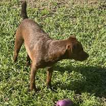 Thumbnail photo of Cara #3