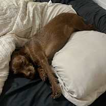 Thumbnail photo of Cara #4