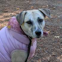 Thumbnail photo of Cleopatra #1