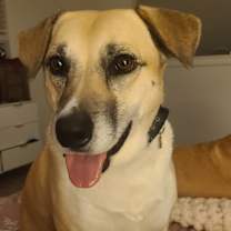 Thumbnail photo of Cleopatra #2