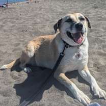 Thumbnail photo of Cleopatra #4