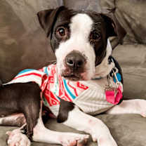 Thumbnail photo of Hope #1