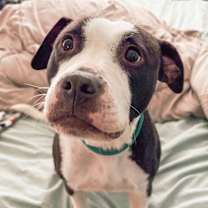 Thumbnail photo of Hope #2