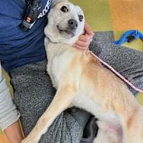 Thumbnail photo of Rocket #2