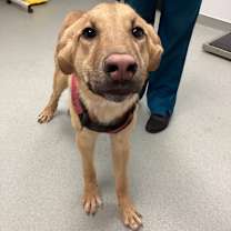 Thumbnail photo of Emma #2