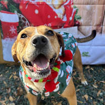 Thumbnail photo of Saskia #1