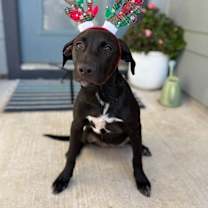 Thumbnail photo of Meryl Streep #1