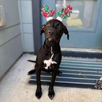 Thumbnail photo of Meryl Streep #2