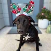 Thumbnail photo of Meryl Streep #3