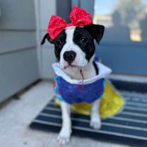 Thumbnail photo of Willa  #4