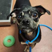 Thumbnail photo of Oscar #1