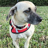 Thumbnail photo of WINTER #2