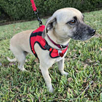 Thumbnail photo of WINTER #3